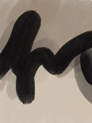 Flowing Black Curve