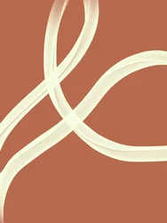 Soft Flowing Curves