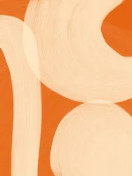 Soft Organic Shapes