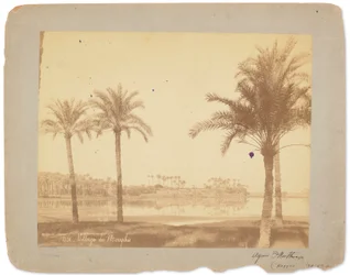 Village of Memphis, Egypt