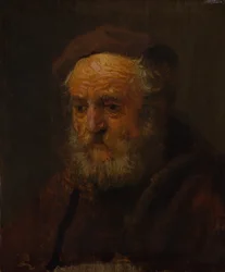 Study Head of an Old Man