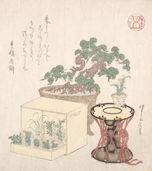 Potted Pine Tree, Drum and Seven Herbs Planted in a Box, 18th-19th century