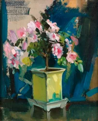 Camellia