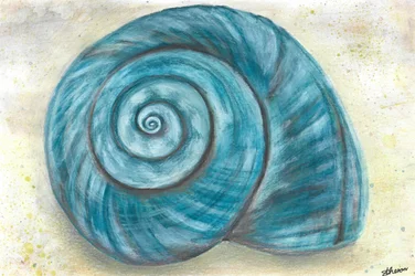 Blue Spiral Shell