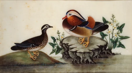 Two Ducks and Flowering Water Plants by a Pond