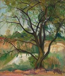 The Tree