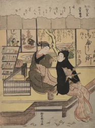 Clearing Mist at Asakusa: Eight Views of Chic Edo