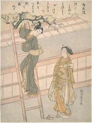 The Beginning of Love