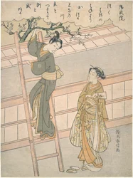 The Beginning of Love