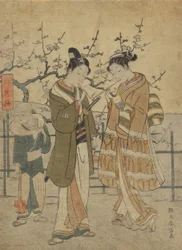 Young Couple Lighting Pipes beside the Sleeping Dragon Plum Tree