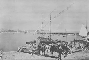 Geneva, The Port