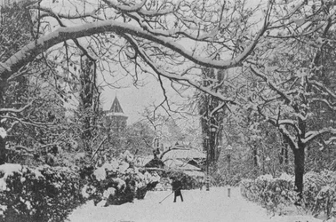 Neuchatel, The English Garden