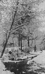 Winter Landscape in Meiringen, Bernese Oberland