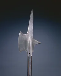 Halberd