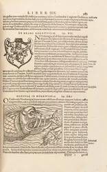 Page 983 from Cosmographiae Universalis by Sebastian Muenster, Basel, 1572