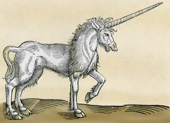 Unicorn, illustration from Historiae Animalium by Conrad Gesner, 1551