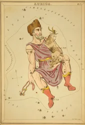 Auriga, Illustration from 