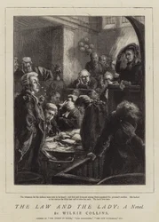 The Law and the Lady, A Novel
