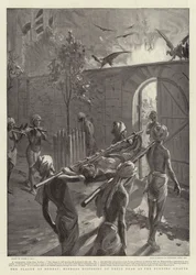 The Plague at Bombay, Hindoos disposing of their dead at the Burning Ghauts