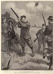 The Prince of Wales