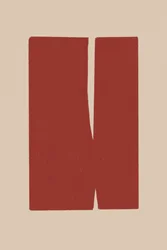 Split Red Shapes