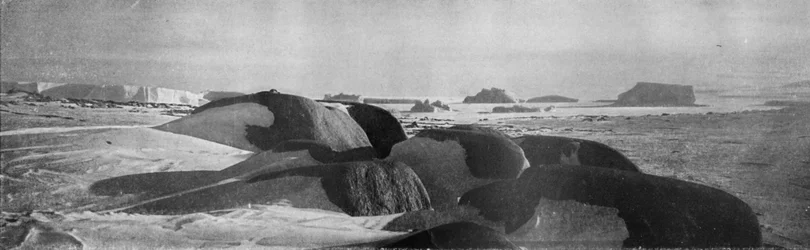 Granite Blocks Planed by Ancient Glaciers at Cape Roberts