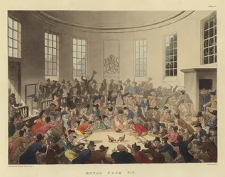 Royal Cock Pit