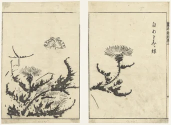 Thistles and Butterfly (series title: Gahon Shinkoku Makiage)