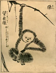 Monkey, 1720, 1924