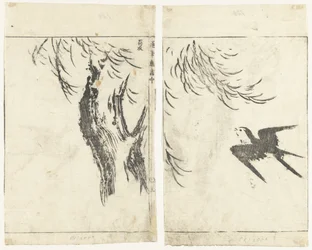 Swallow and Willow (Images in Quick Brushstrokes)