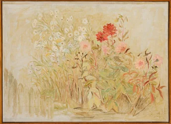 Little Garden