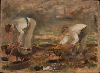 Work in the Field