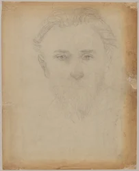 Portrait Study of a Young Bearded Man