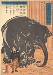 View of the Large Imported Elephant, 1863