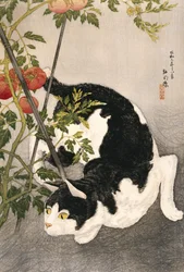 Cat Prowling Around a Staked Tomato Plant, 1931
