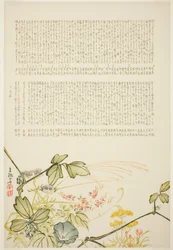 Autumn Grasses