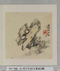 Album Of Marvelous Rocks