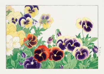 Vintage Pansy Flower from "Seiyou Sokazufu"