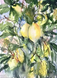 Vibrant Lemon Branch