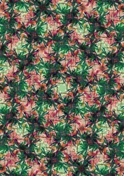 Tropical Palm