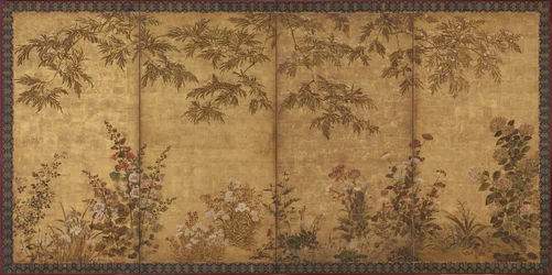 Mimosa Tree, Poppies and Other Summer Flowers
