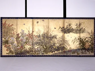 Flowers and Butterflies