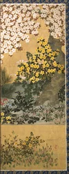 Flowers and Butterflies