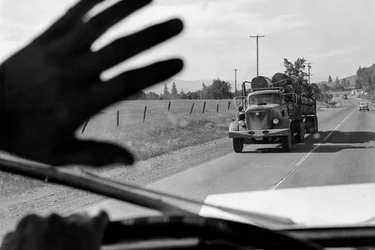 Driver in logging truck waves to another logging truck