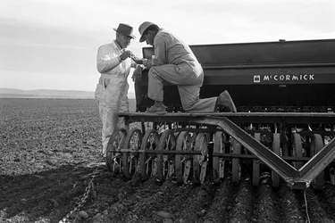 Family farmer Ed Ker at A.M. Ker Ranch is an agricultural homesteader growing alfalfa