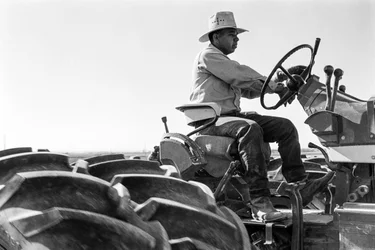 Family farmer Ed Ker at A.M. Ker Ranch is an agricultural homesteader growing alfalfa
