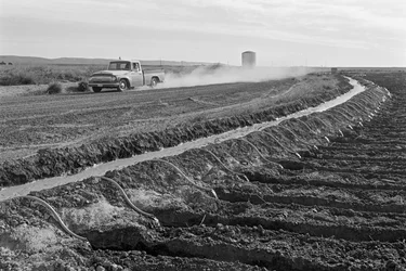 Family farmer Ed Ker at A.M. Ker Ranch is an agricultural homesteader growing alfalfa