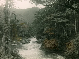 Autumn Forest in the Yamanaka Region, circa 1900 - 1915