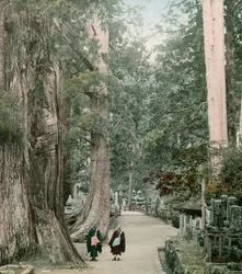 Okuno-In Cemetery on Mount Koya in Yamamoto, circa 1900 - 1915