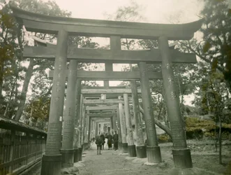 Torii in the Inari Kyoto Shrine, circa 1900 - 1915